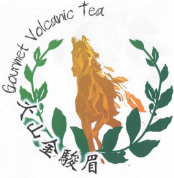GOURMET VOLCANIC TEA logo