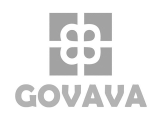 GOVAVA logo