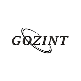GOZINT logo