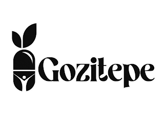 GOZITEPE logo