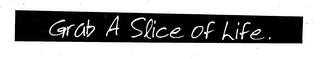 GRAB A SLICE OF LIFE. logo