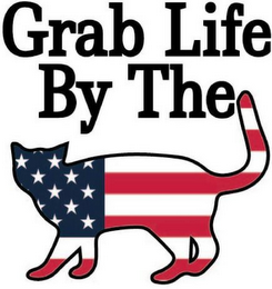 GRAB LIFE BY THE logo