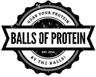 GRAB YOUR PROTEIN BALLS OF PROTEIN EST.2016 BY THE BALLS! logo