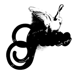 GRACE logo