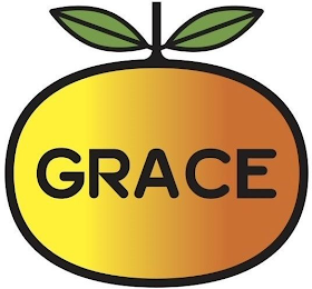 GRACE logo