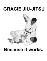 GRACIE JIU-JITSU BECAUSE IT WORKS. logo