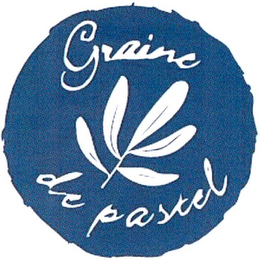 GRAINE DE PASTEL logo
