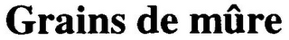 GRAINS DE MÛRE logo