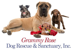 GRAMMY ROSE DOG RESCUE & SANCTUARY, INC. logo