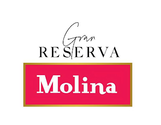 GRAN RESERVA MOLINA logo