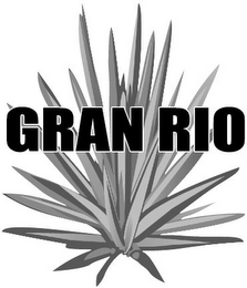 GRAN RIO logo