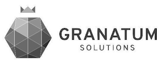 GRANATUM SOLUTIONS logo