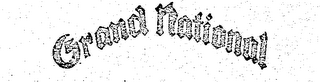 GRAND NATIONAL logo