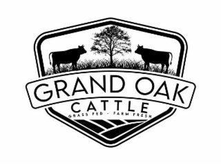 GRAND OAK CATTLE logo