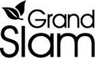 GRAND SLAM logo