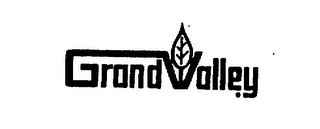 GRAND VALLEY logo