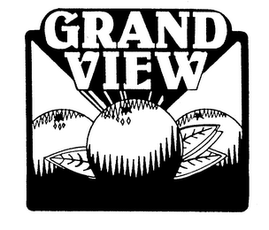 GRAND VIEW logo
