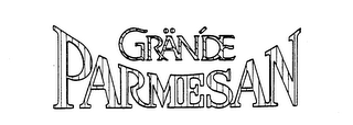 GRANDE PARMESAN logo