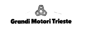 GRANDI MOTORI TRIESTE logo