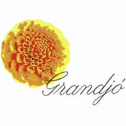 GRANDJÓ logo