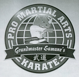 GRANDMASTER SAMANE'S PRO MARTIAL ARTS KARATE logo