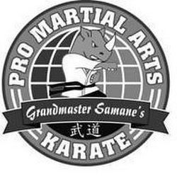 GRANDMASTER SAMANE'S PRO MARTIAL ARTS KARATE logo