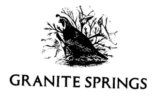 GRANITE SPRINGS logo