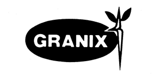 GRANIX logo