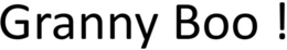 GRANNY BOO ! logo