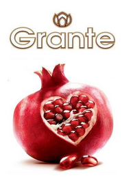GRANTE logo