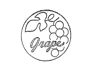 GRAPE logo