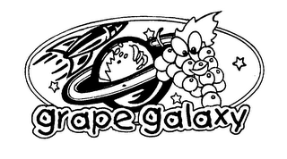 GRAPE GALAXY logo