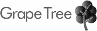 GRAPE TREE logo