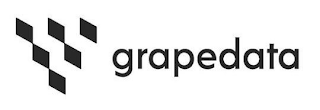 GRAPEDATA logo