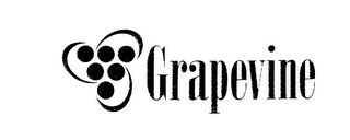 GRAPEVINE logo