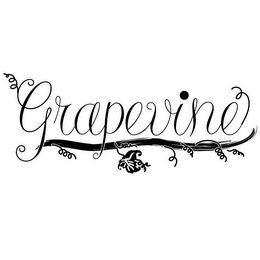 GRAPEVINE logo