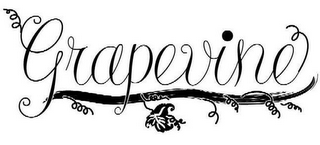GRAPEVINE logo