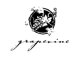 GRAPEVINE logo
