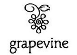 GRAPEVINE logo