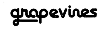 GRAPEVINES logo