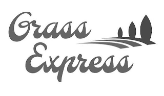 GRASS EXPRESS logo