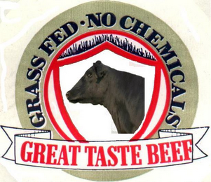 GRASS FED NO CHEMICALS GREAT TASTE BEEF logo