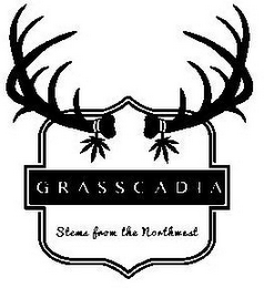 GRASSCADIA STEMS FROM THE NORTHWEST logo