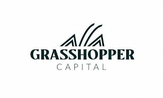 GRASSHOPPER CAPITAL logo
