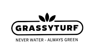 GRASSYTURF NEVER WATER - ALWAYS GREEN logo