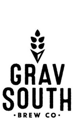 GRAV SOUTH BREW CO logo
