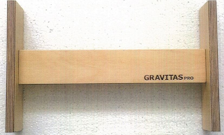 GRAVITAS PRO logo