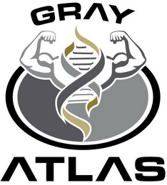 GRAY ATLAS logo