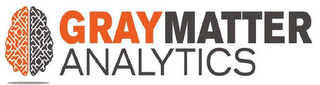 GRAY MATTER ANALYTICS logo