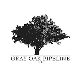 GRAY OAK PIPELINE LLC logo